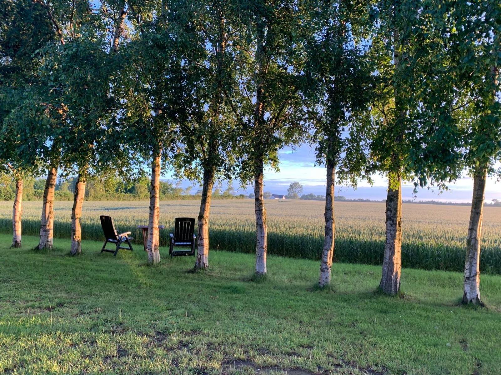 Stunning Romantic Cabin Close To Baltic See Idestrup Exterior photo